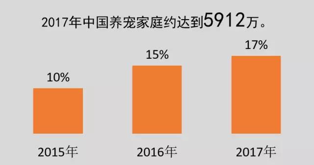 2025年香港今晚开奖号码，揭秘背后的故事与影响