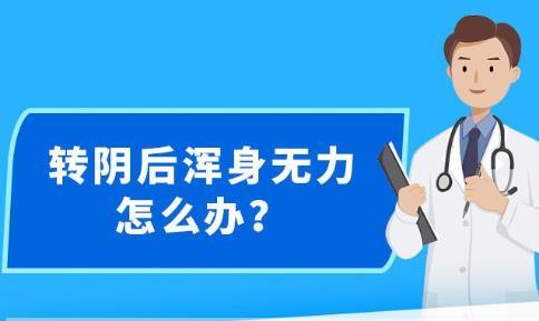 2025新澳精准资料，免费时代的到来与挑战