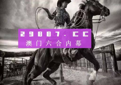 澳门跑狗图，2019年回顾与解析