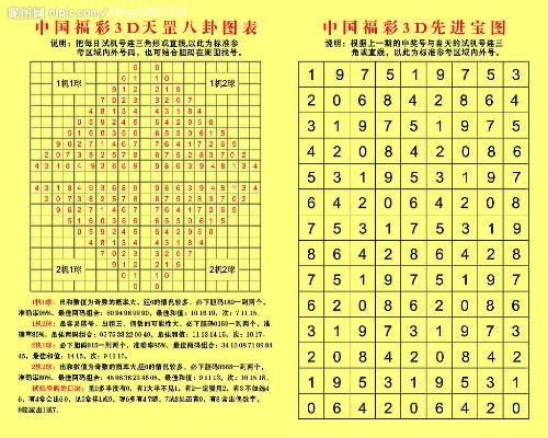 排列五最大论坛，解锁数字彩票的奥秘与策略