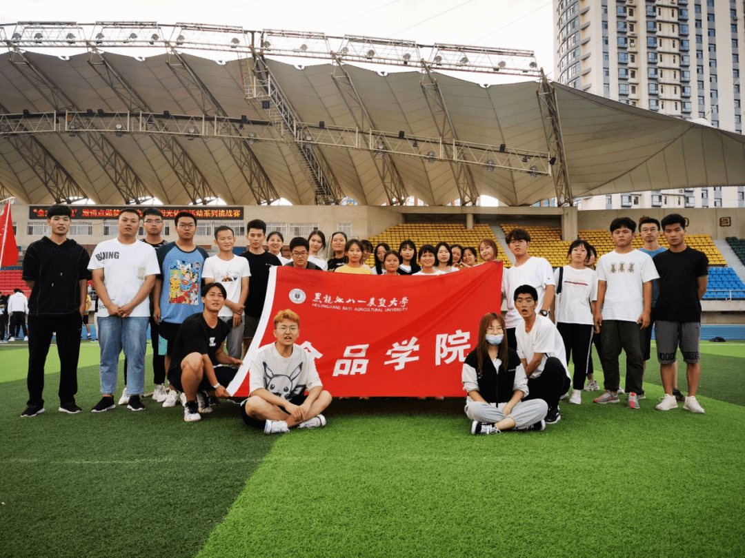 体育比赛，激情与挑战的完美融合