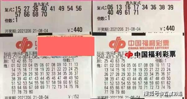 胆拖双色球，解锁中奖秘籍——胆拖双色球中奖计算器详解