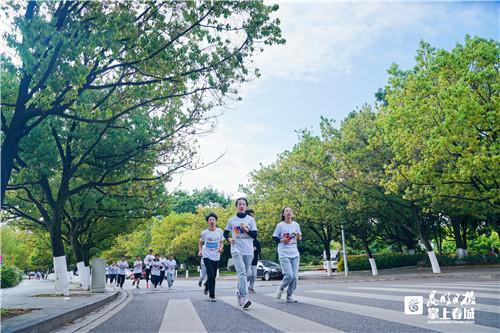 探索家彩网最新开奖结果，揭秘数字背后的幸运与期待