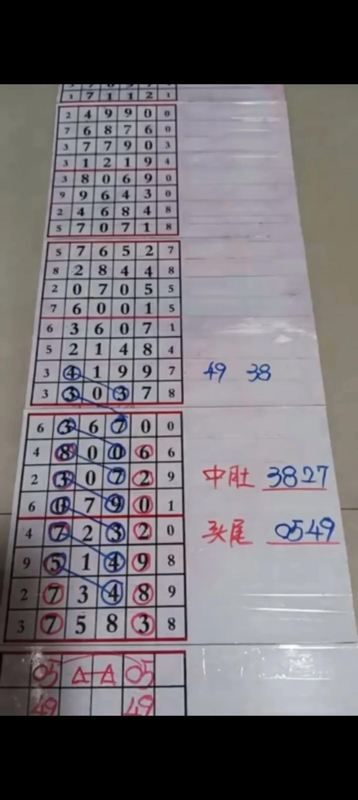 探索体彩排列五2元网走势图，揭秘数字背后的奥秘