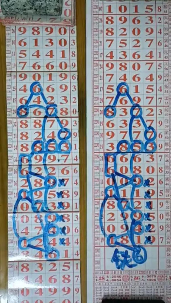 排5机选，智慧与运气的完美结合