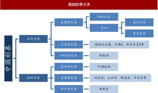 中彩网体彩网，探索中国体育彩票的魅力与责任