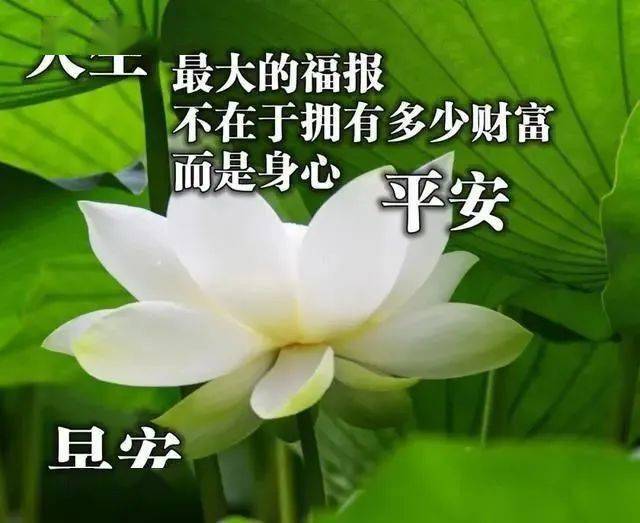 晨光温暖