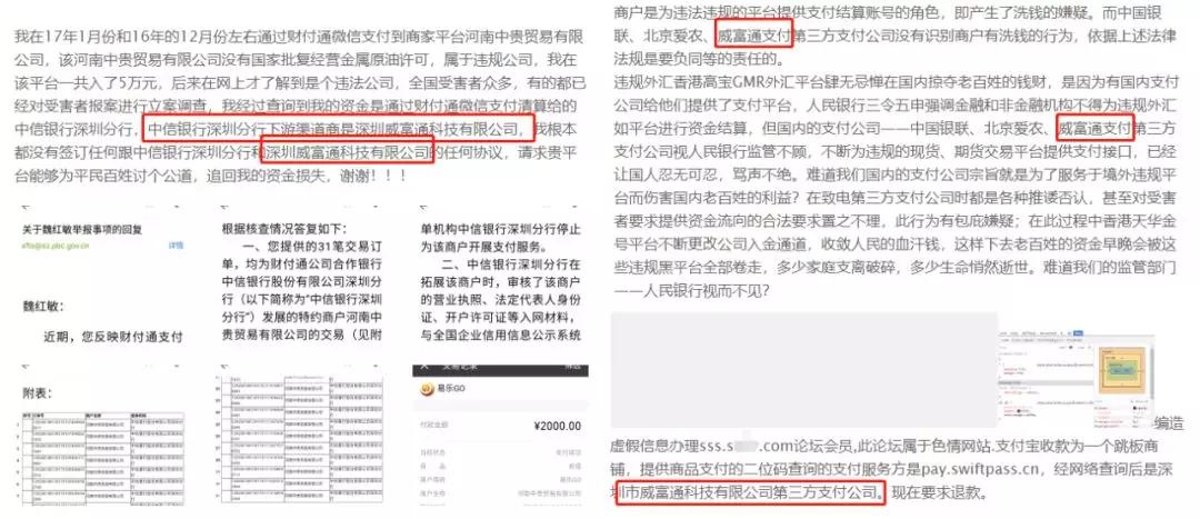 牛彩网图谜总汇大全九，独家揭秘与深度解析