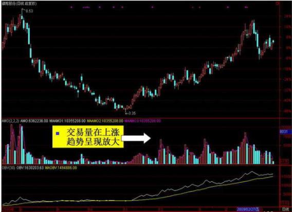 探索双色球最近500期，数字背后的奥秘与趋势分析