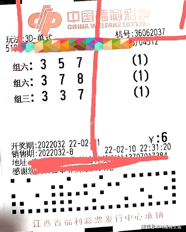 排列三试机号与今晚金码的奥秘，揭秘彩票背后的数字游戏