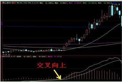 排列5走势图，揭秘数字背后的奥秘