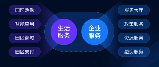 排列三开奖直播，揭秘数字背后的幸运与智慧