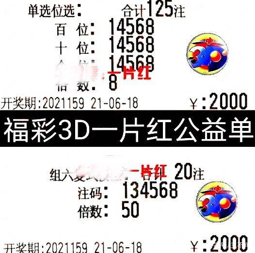 今日福彩3D图库全图，探索数字背后的幸运与智慧