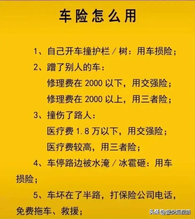 网上选号，便捷、高效与个性化的车牌号码选择新体验