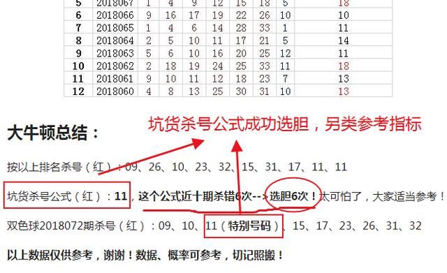 最新双色球预测，牛飞策略大揭秘