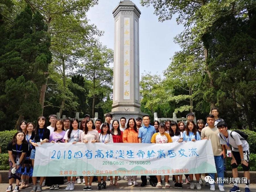 澳门六采方法揭秘，深度解析与理性探讨