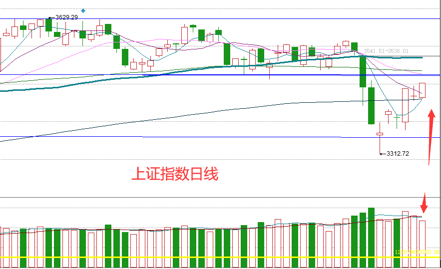 澳门六采开奖走势图，新浪视角下的数字游戏与概率艺术