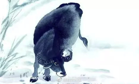 孤家寡人，生肖背后的文化与哲理