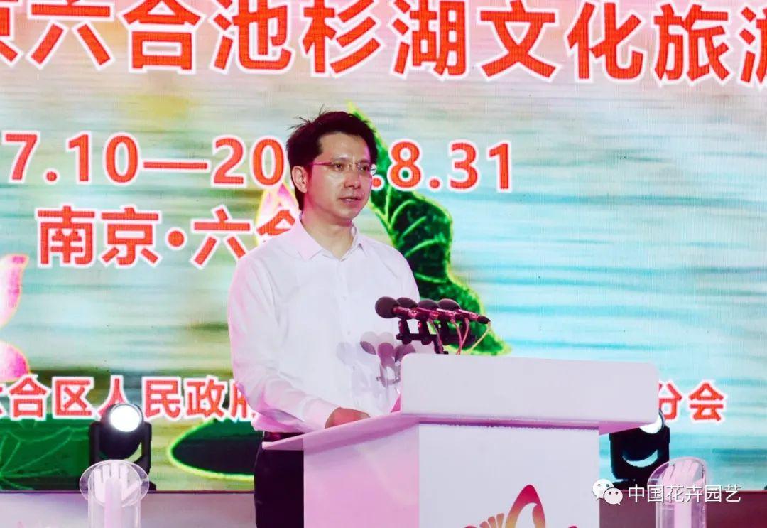 澳门六宝合典大全图片最新中文版，揭秘澳门文化与风情的宝典