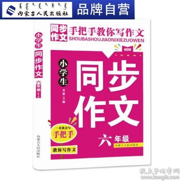 澳门六叔公精准资料免费大全，最新版中文版解析与使用指南