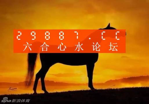 澳门六叔公高手论谈，深度解析与免费资源分享