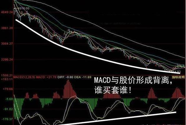 澳门六肖公式运用法视频详解，揭秘背后的策略与技巧