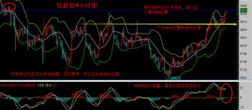 澳门六福金价今日价格与大陆走势预测，黄金市场的风云变幻