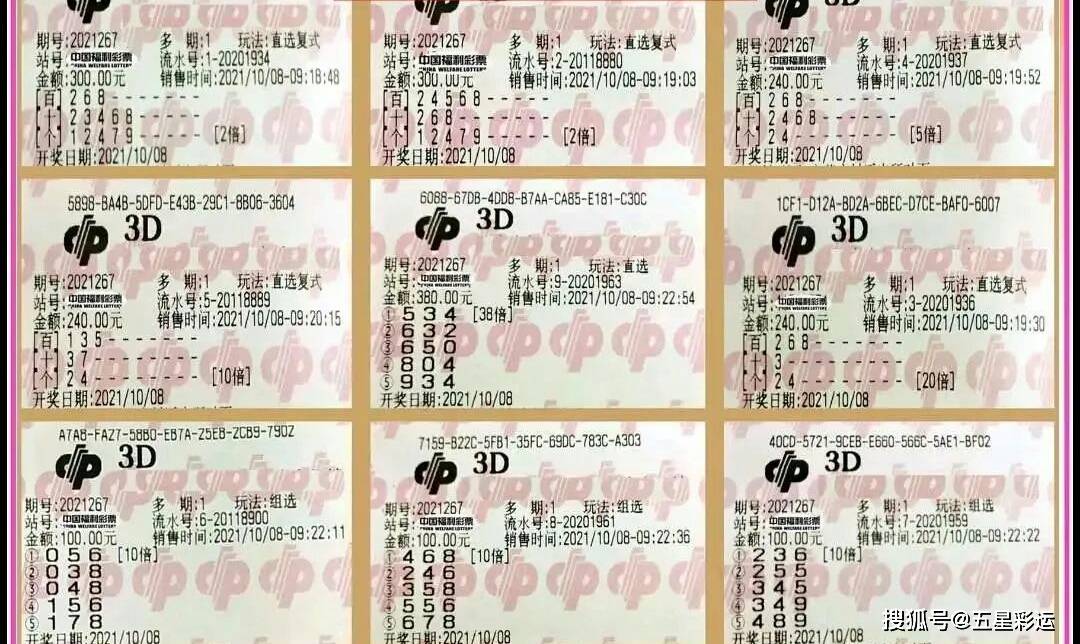 排列三老版综合版，新浪视角下的数字游戏与彩民故事