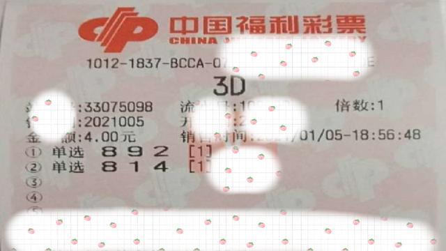 福利彩票3D开奖直播，透明、公正与公众参与的现代彩票新体验