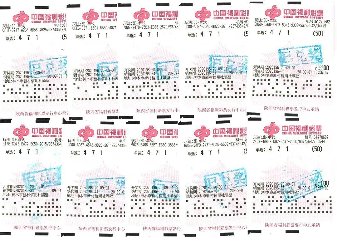 福建福彩15选5，梦想与幸运的碰撞