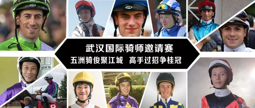 2021年香港马资料大资料大全，赛马盛宴的全面解析