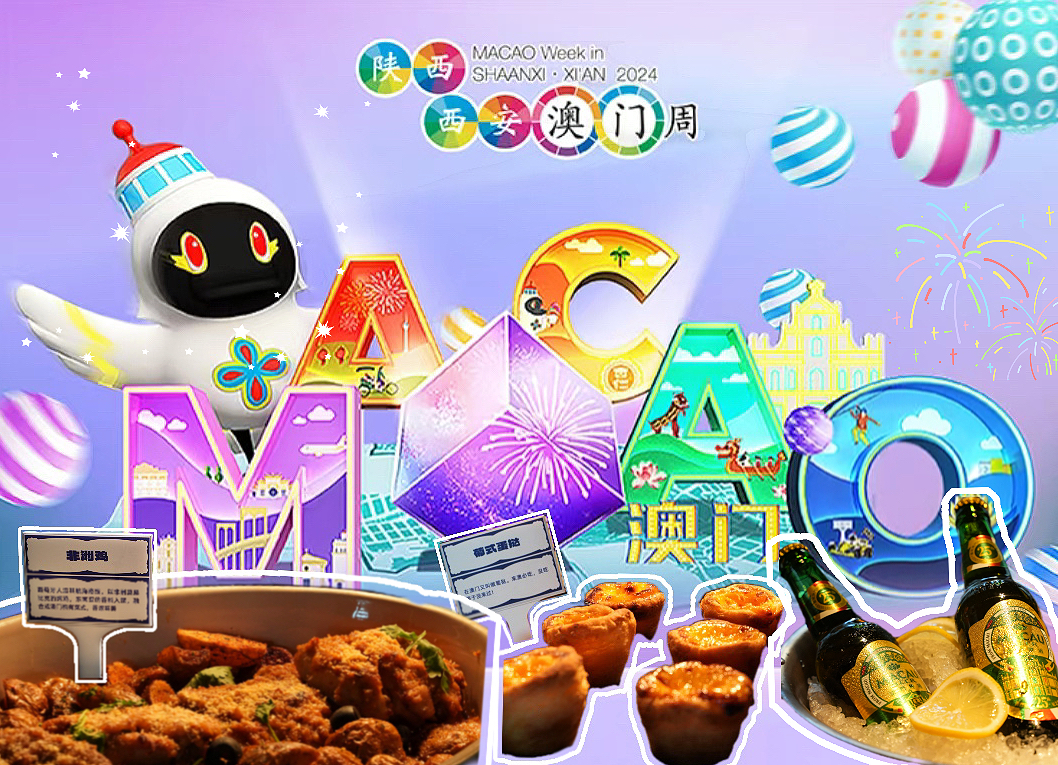 2024澳门天天开好彩大全正版，揭秘澳门彩票的魅力与策略