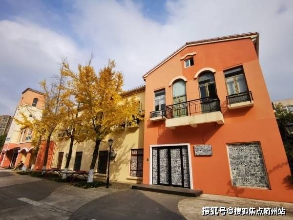 深度解析，大乐透开奖详情的奥秘与技巧