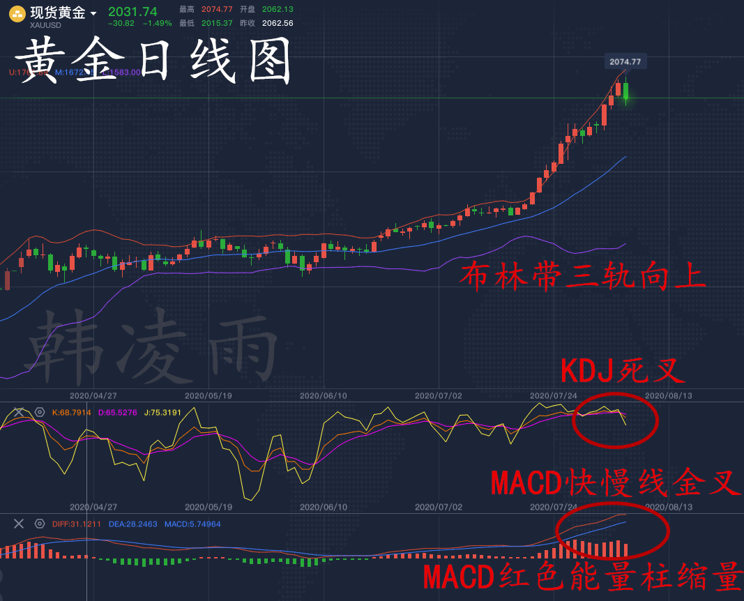 最新双色球综合走势深度解析，洞悉未来，把握机遇