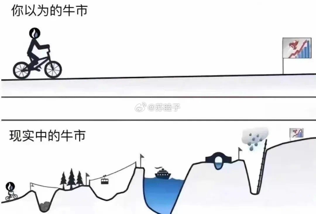 河北十一选五，揭秘一定牛的背后逻辑与理性分析