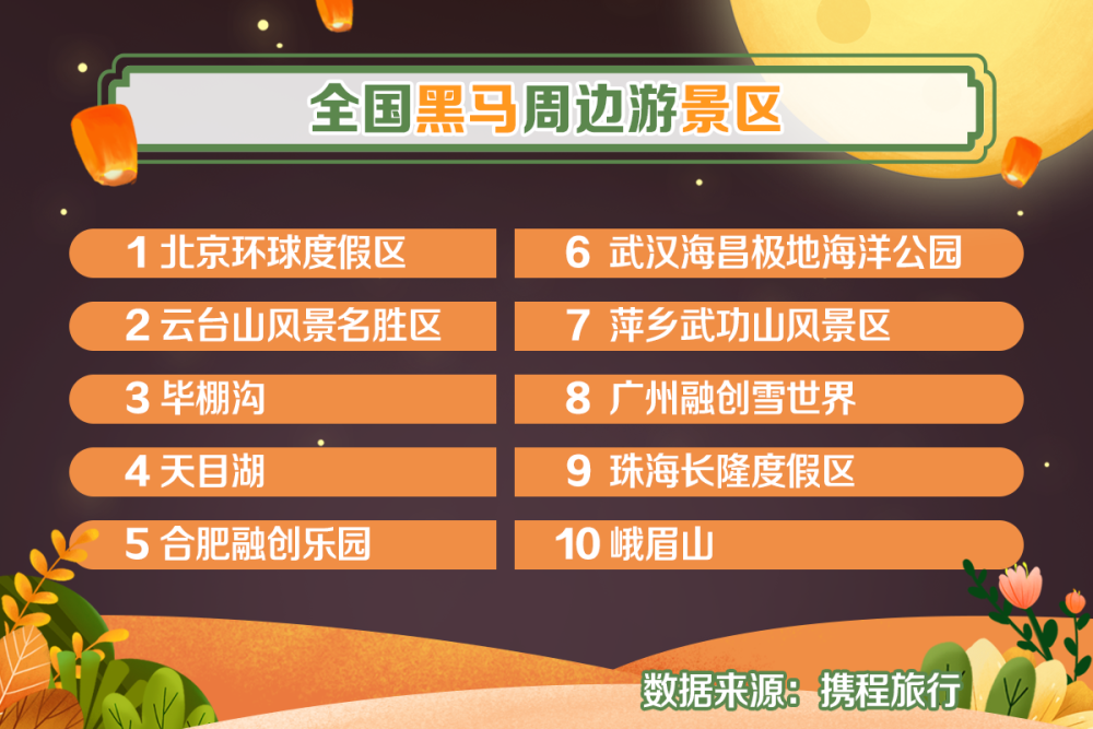 探索双色球的奇妙之旅，玩法全解析