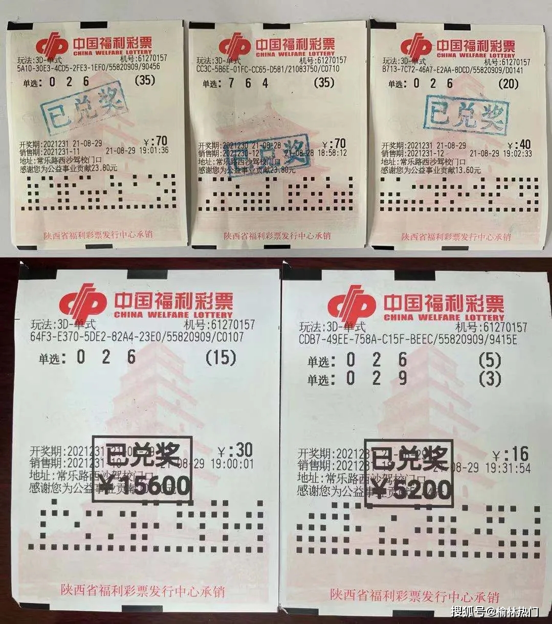 七星彩玩法中奖图表，解锁数字彩票的奥秘