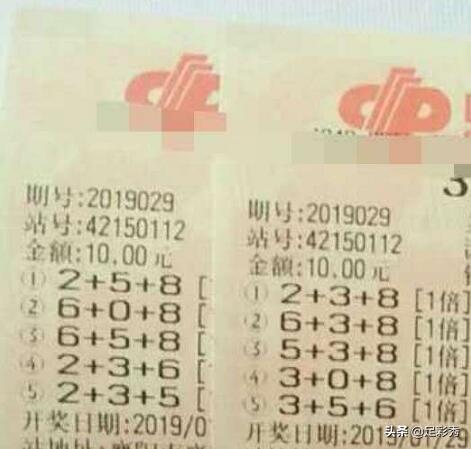 2019013期双色球开奖结果揭晓，梦想与幸运的碰撞