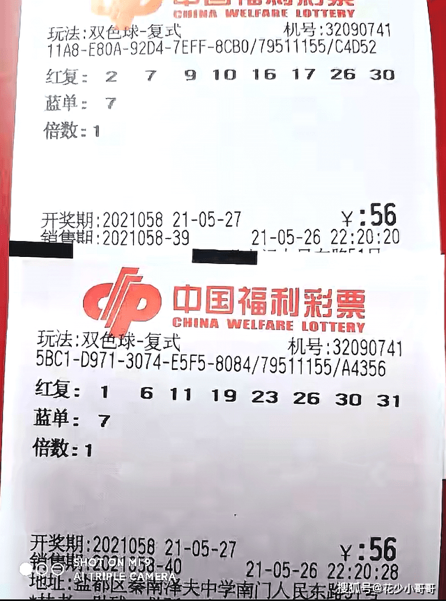 2019069期双色球开奖揭晓，梦想与幸运的碰撞