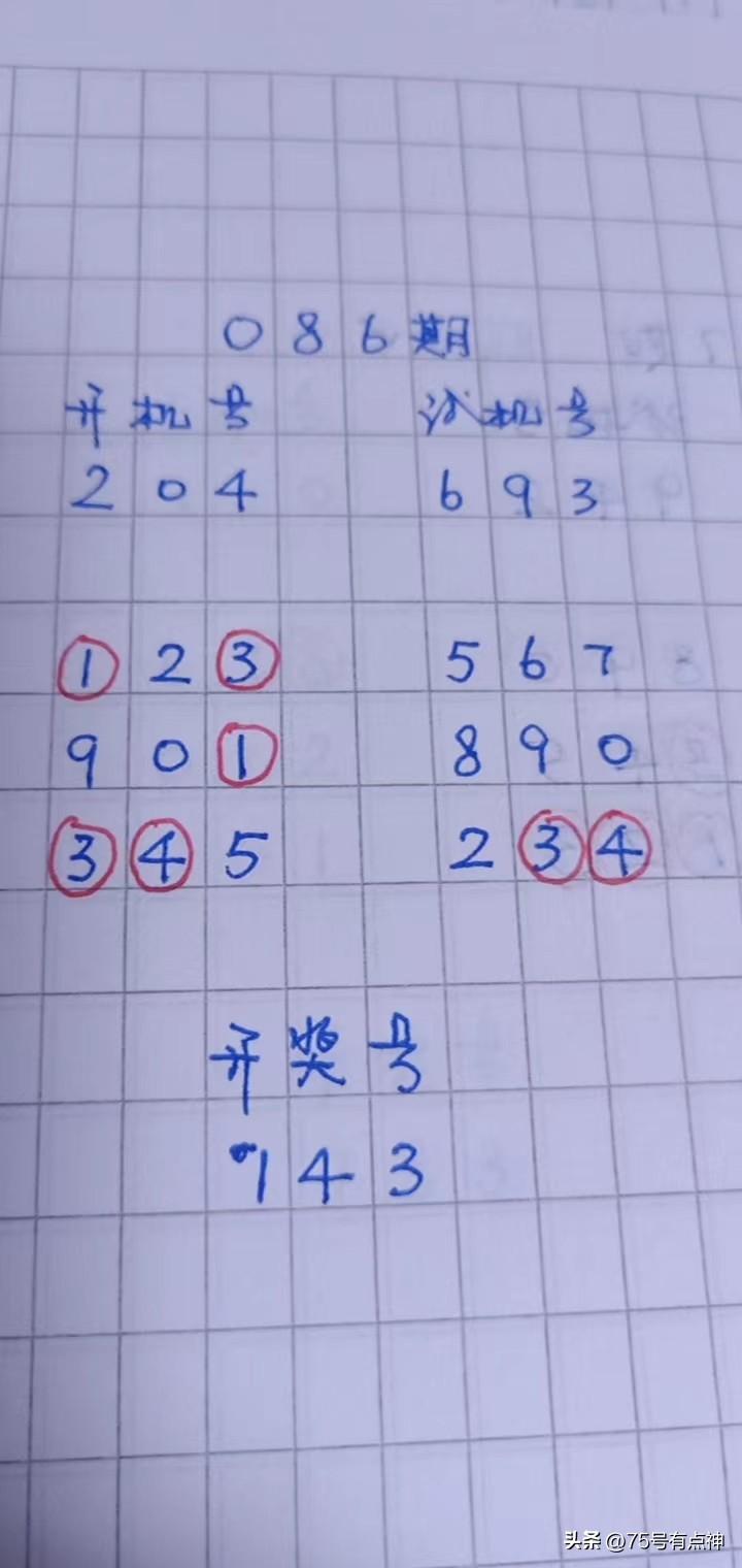 3D开机号，今日最新揭秘与深度解析