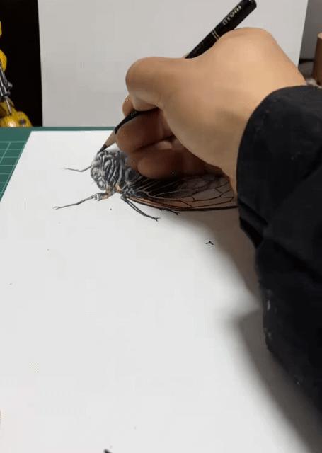 探索3D彩票的500期连线走势，揭秘数字背后的奥秘