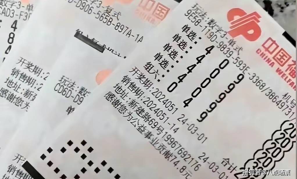 今日3D试机号查询，揭秘彩票背后的数字游戏
