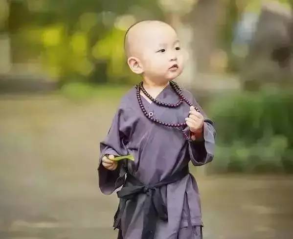 小和尚的精准预测，双胆必下的智慧与启示