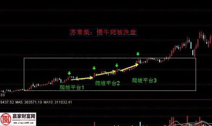 排列三走势图（带连线图专业版）深度解析与实战应用