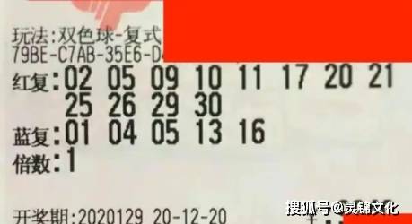 探索双色球2020030期的奇妙之旅，数字背后的故事与人生启示