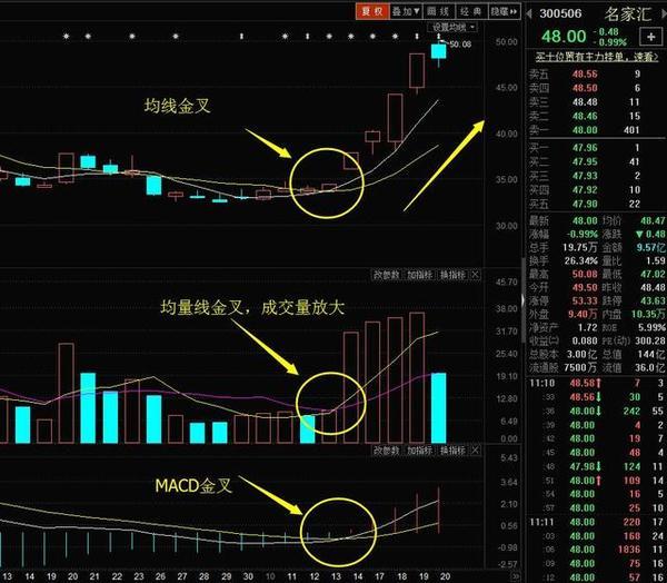 排列五近50期开奖记录深度分析，探寻数字背后的规律与趋势