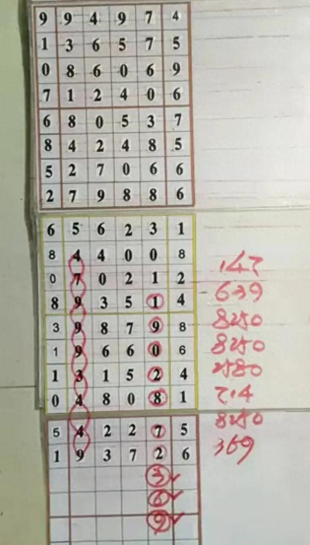 排列5中奖号码公布，数字的魔力与幸运的瞬间