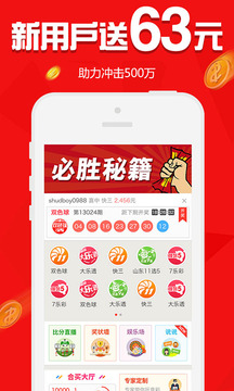 揭秘新浪彩票开奖公告，透明、公正与公众的信任