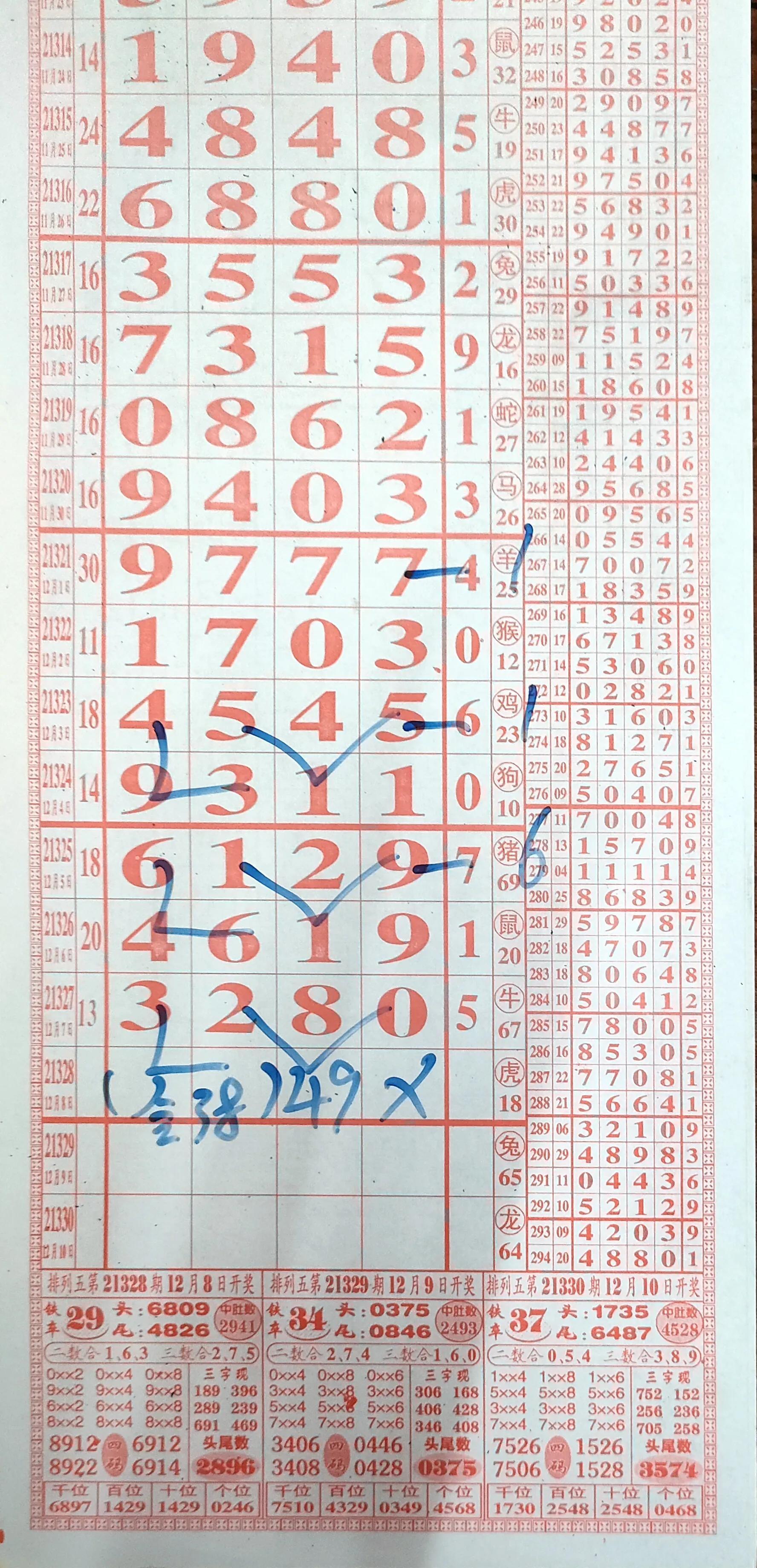 排列五今日最新走势分析，数字游戏中的智慧与策略