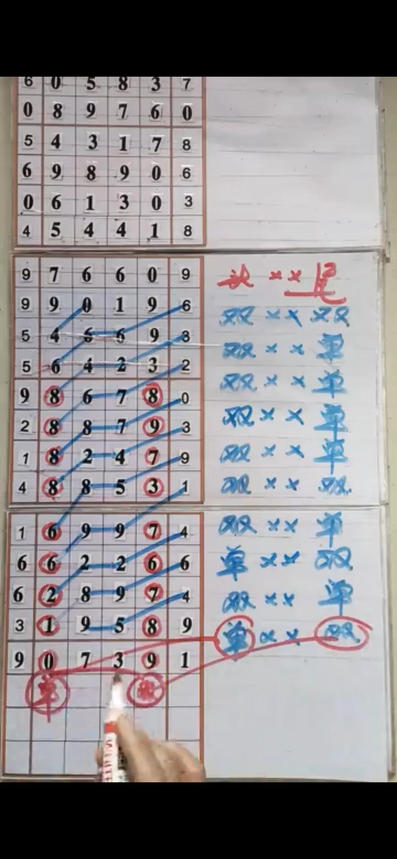 排列五走势图，专业连线下的数字艺术与策略